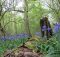 Pădurea Albastră: Transformare mistică în fiecare primăvară
